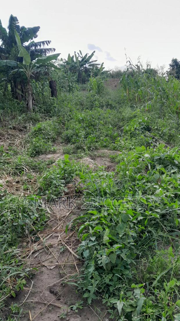 Registered Plots(Flexible Payment 4 Sale at Samsam Near Mayera Pokuase · Photo 7