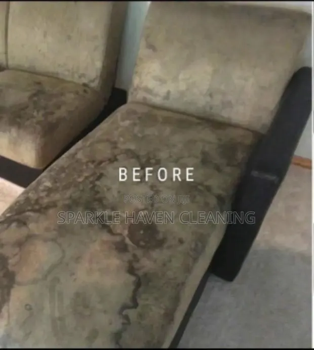 Upholstery and Mattress Cleaning · Photo 1