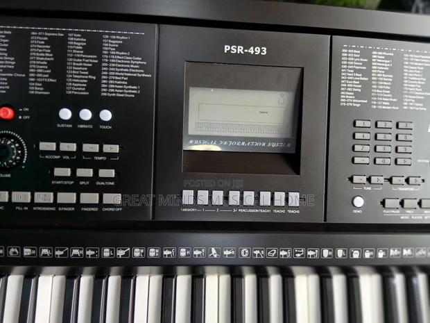 GLS PSR 493 Keyboard · Photo 1