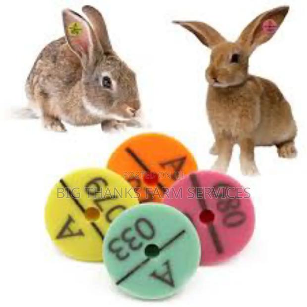 Rabbit Tags · Photo 1