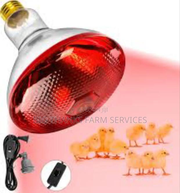 Heater Lamps,275 Watts · Photo 1