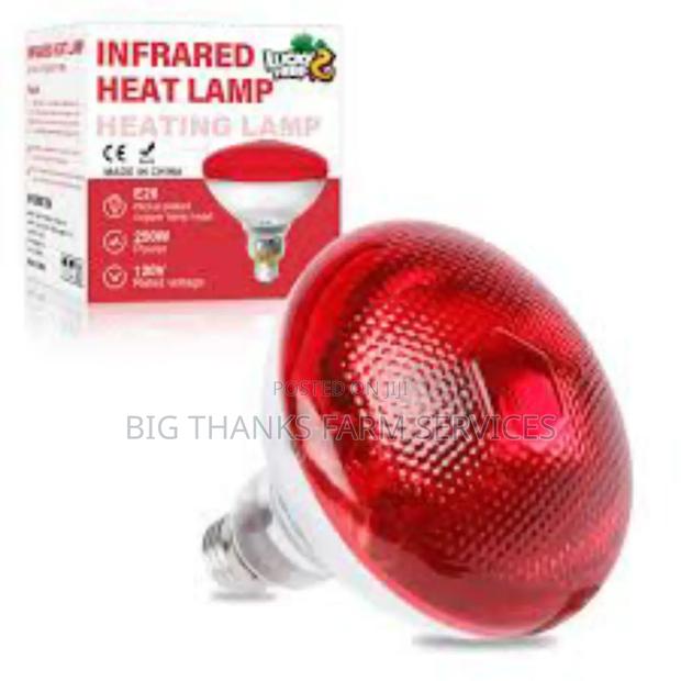 Heater Lamps,250w · Photo 1
