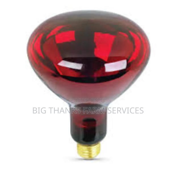 200w Brooder Lamps · Photo 1