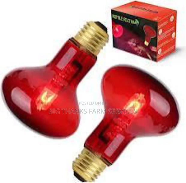 250w Brooder Lamps · Photo 1