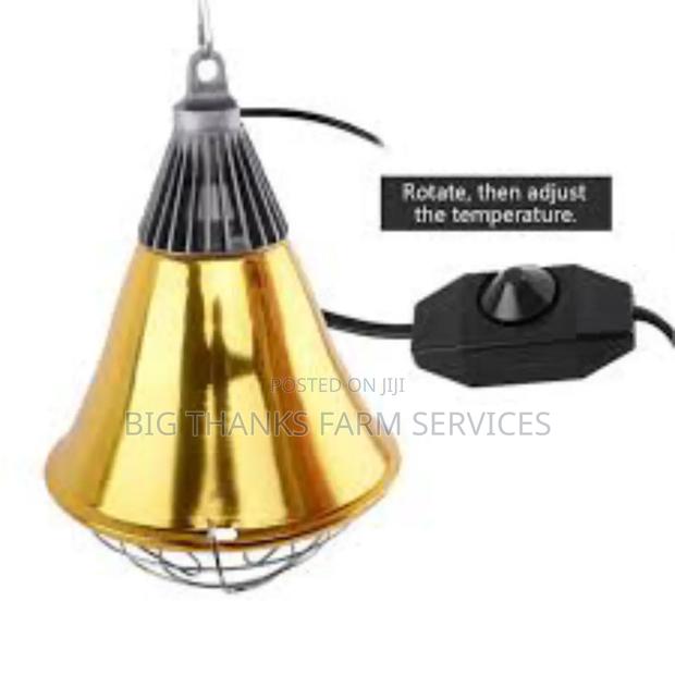Brooder Lamps& Assessories · Photo 1