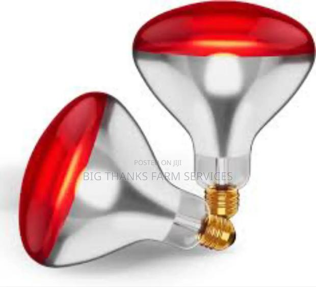 Brooder Lamps& Assessories · Photo 2