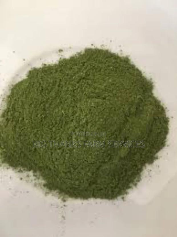 Moringa Leaf Powder,Bulk · Photo 1