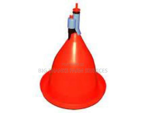 Jumbo Bell Drinkers · Photo 1