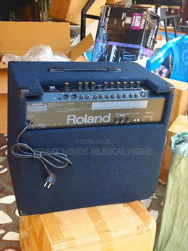 Roland Kc 550 Professional Keyboard Combo · Photo 2