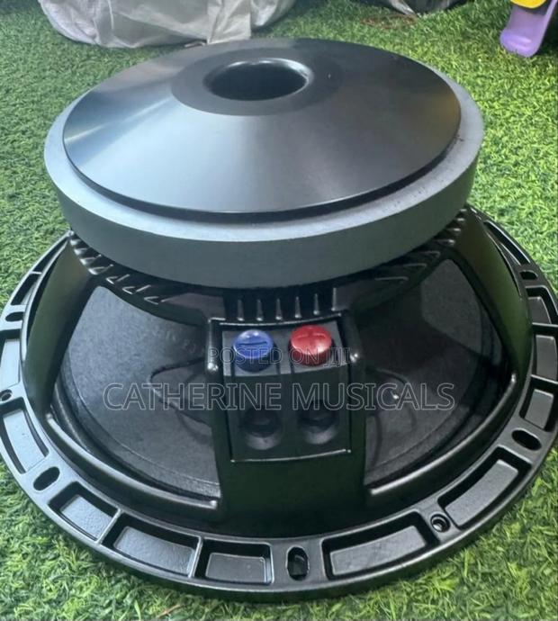RFC 12 Inches Naked Speaker Double Magnet · Photo 1