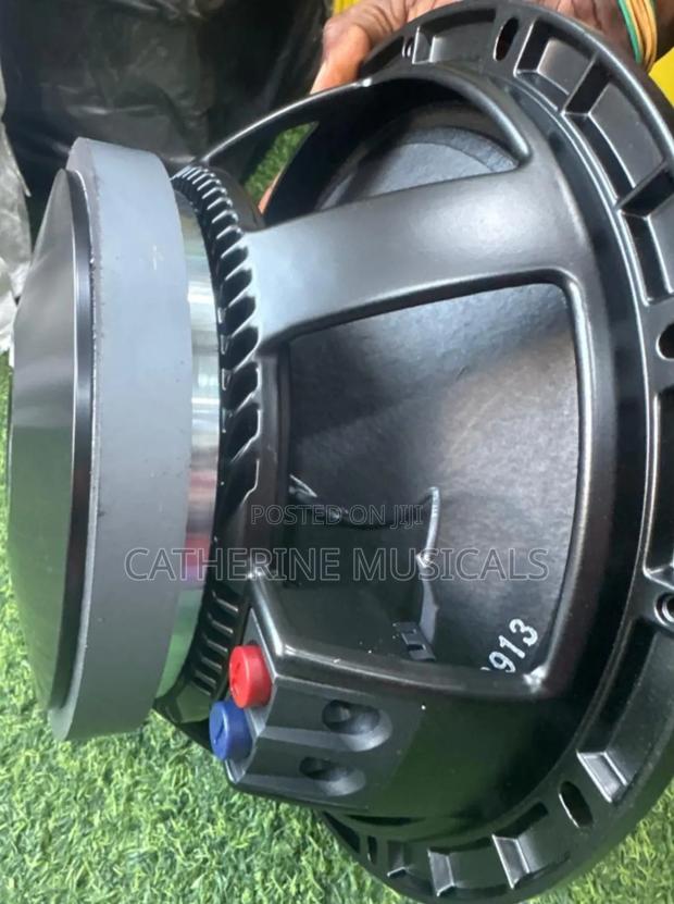 RFC 12 Inches Naked Speaker Double Magnet · Photo 2