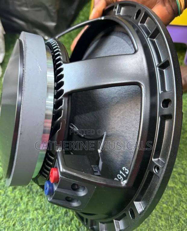 RFC 12 Inches Naked Speaker Double Magnet · Photo 4