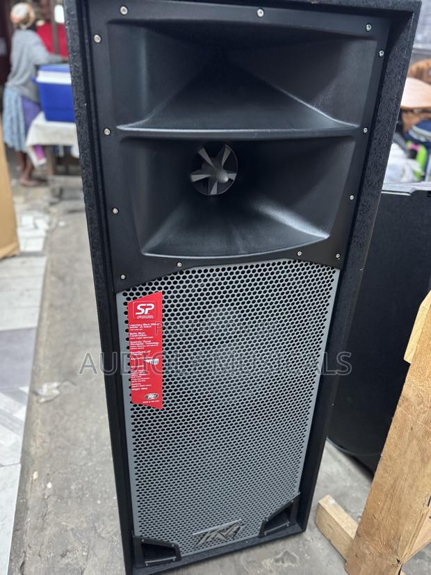 Peavey Speaker · Photo 3