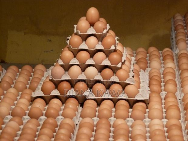 Eggs for Sale in Accra · Photo 4