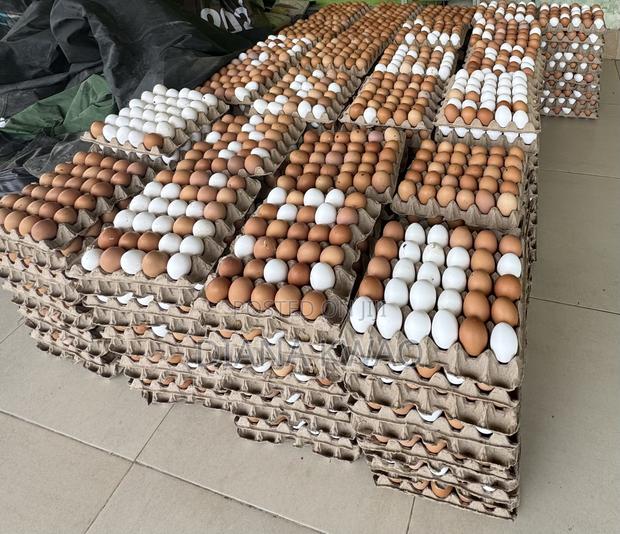Eggs for Sale in Accra · Photo 3