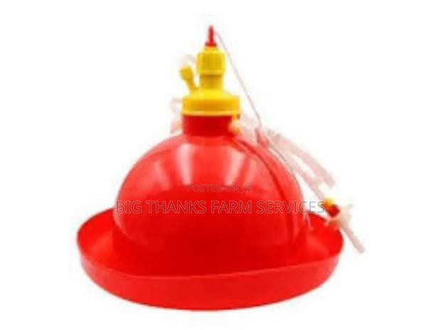 Small Bell Drinkers · Photo 1