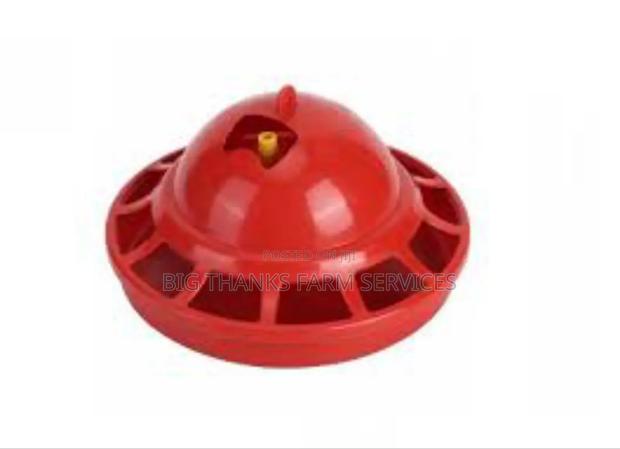 Small Bell Drinkers · Photo 2
