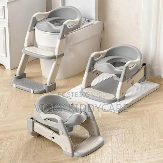 3 In 1 Toddler Potty Training Toilet Seat · Photo 2