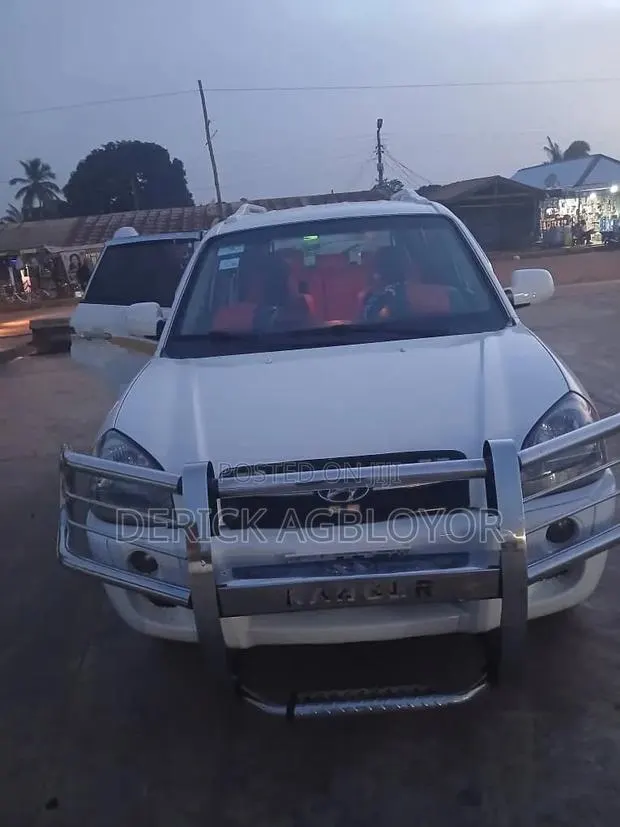 Hyundai Tucson 2008 White · Photo 1