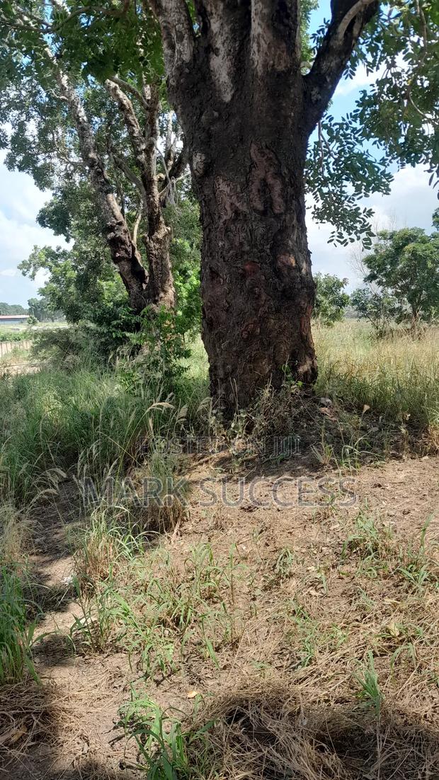 Road Side Fully Registered Plots for Sale at Ofankor Jeiriver · Photo 2