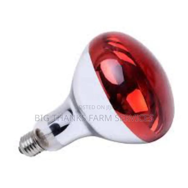 200w Poultry Brooder Lamps · Photo 1