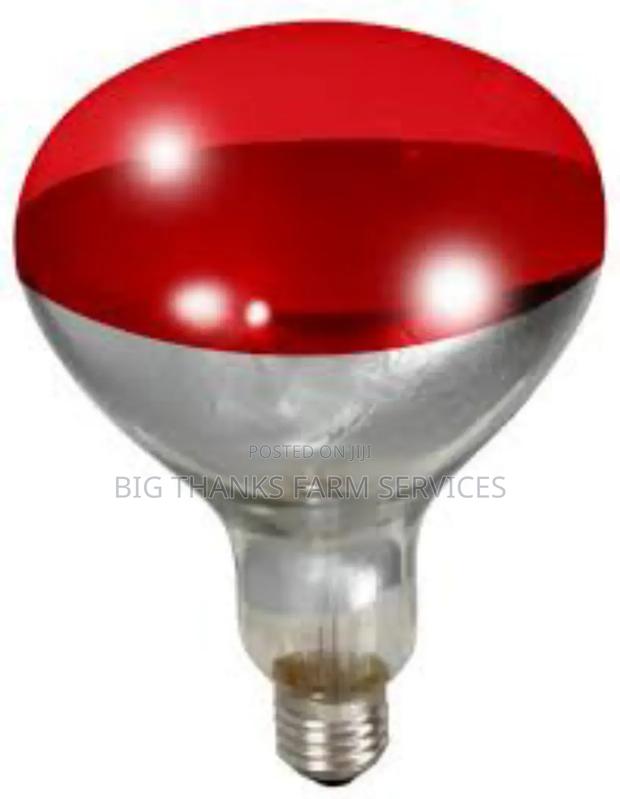250w Brooder Lamps · Photo 1