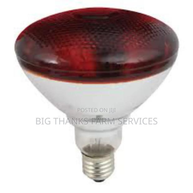 275w Brooder Lamps · Photo 1