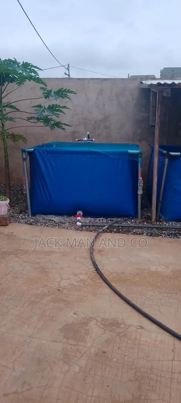 Transportable Fish Pond · Photo 3