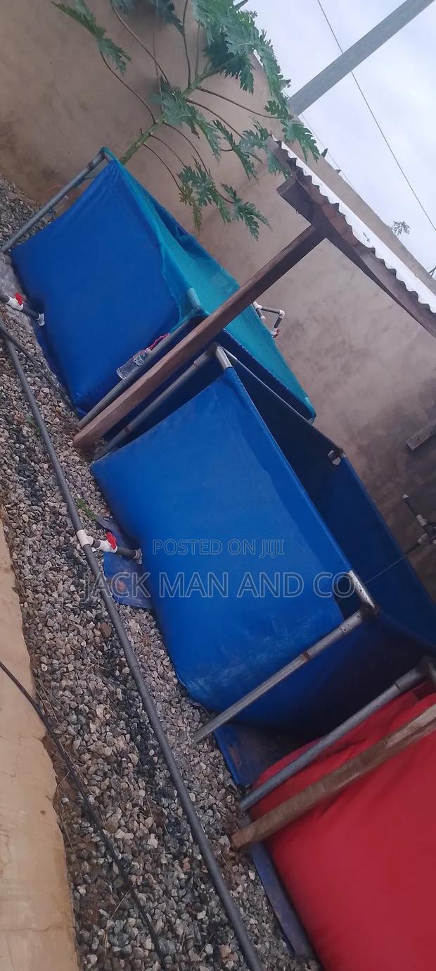 Transportable Fish Pond · Photo 4