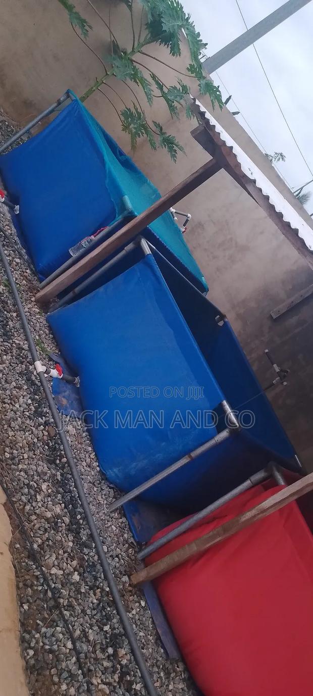 Transportable Fish Pond · Photo 5
