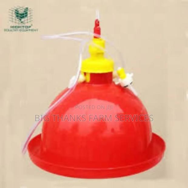 Bell Drinkers,Small Size · Photo 1