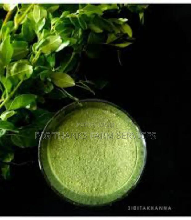 Moringa Concentrate For Animals Feed · Photo 1