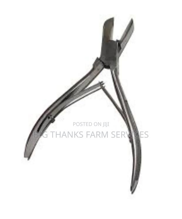 Pig Tooth Cutting Pliers · Photo 1