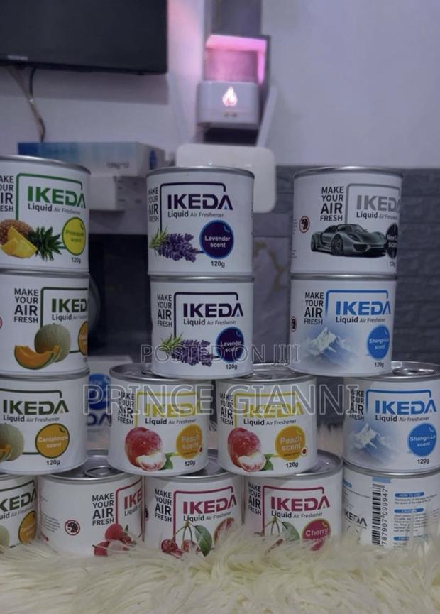 Ikeda Diffuser · Photo 1