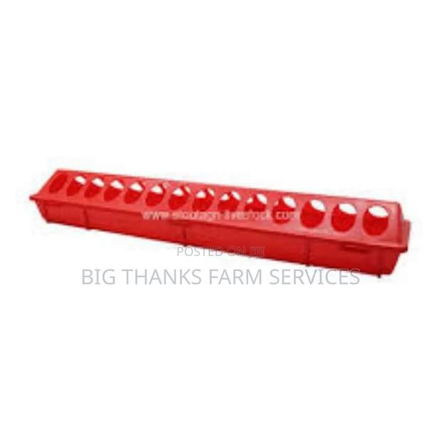 Chick Feeders, 28 Entries · Photo 1