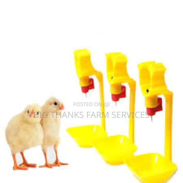 Automatic Chicken Drinkers, Yellow · Photo 1