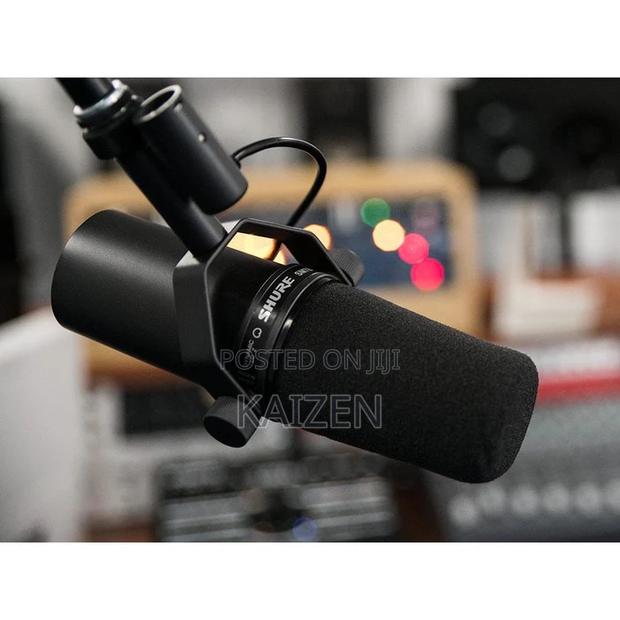 Professional Microphone · Photo 1