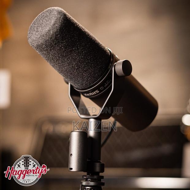 Professional Microphone · Photo 2