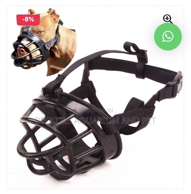 Big Dog Muzzle · Photo 1