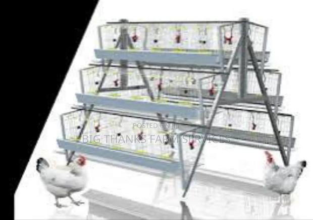 160 Bird Capacity Cages · Photo 1