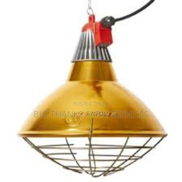 Lamp Reflector Holder &Bulb · Photo 1