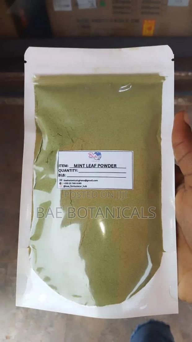 Mint Leaf Powder (100 Grams ) · Photo 1