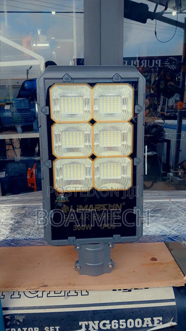 300w Limarsun Solar Lamp · Photo 2