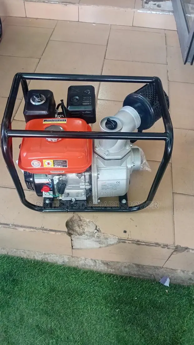 6.5hp Fast Pumping Clean Power Leo Water Pump · Photo 1