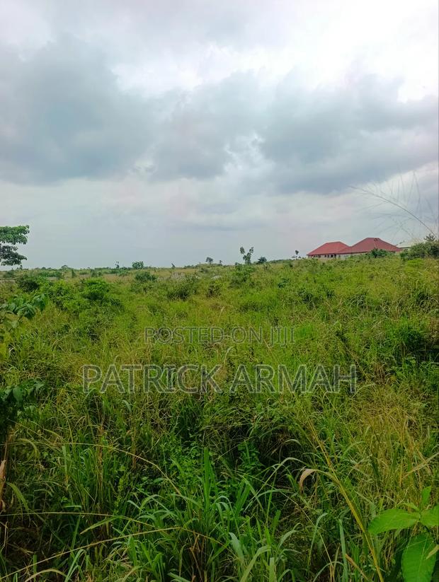 Full Plot at Ejisu Donaso · Photo 6