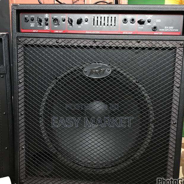 Peavey Bass Combo · Photo 1