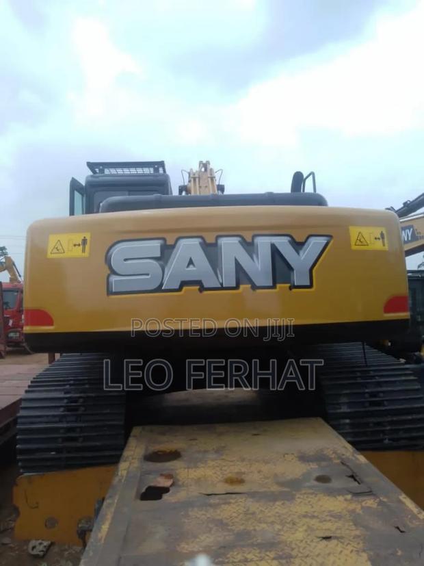Sanny Yellow Back 235 · Photo 2
