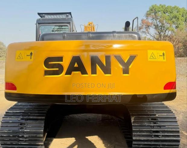 Sanny Yellow Back 235 · Photo 3