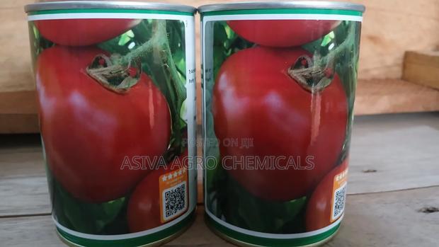 Cobra 34 Tomato Seeds 50grams · Photo 2