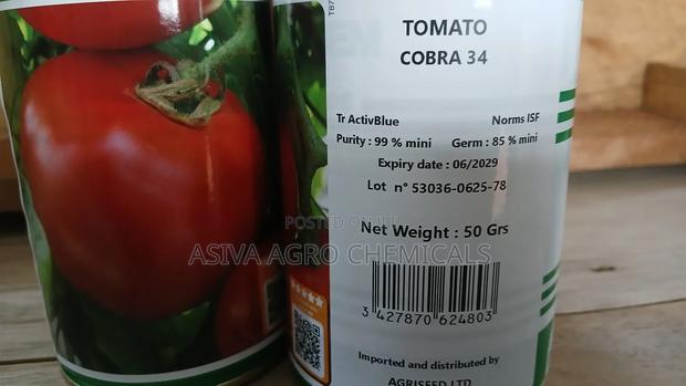Cobra 34 Tomato Seeds 50grams · Photo 4
